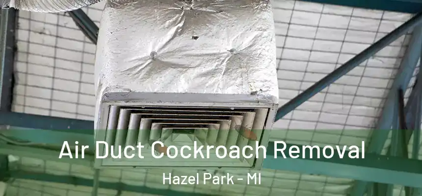  Air Duct Cockroach Removal Hazel Park - MI