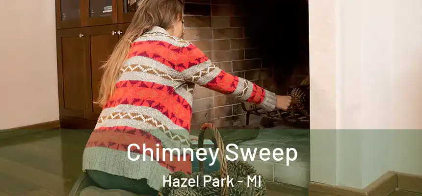  Chimney Sweep Hazel Park - MI