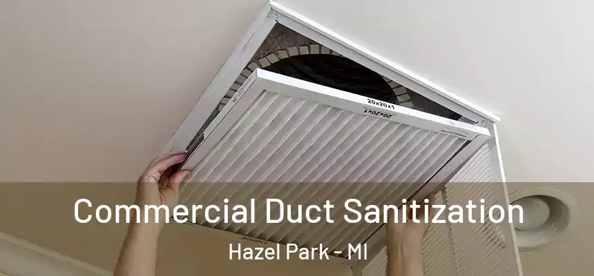  Commercial Duct Sanitization Hazel Park - MI
