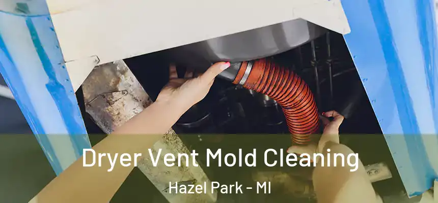  Dryer Vent Mold Cleaning Hazel Park - MI