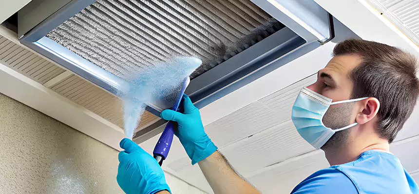 Proactive Dryer Vent & Auxiliary Duct Pollen Cleanup in Hazel Park, MI