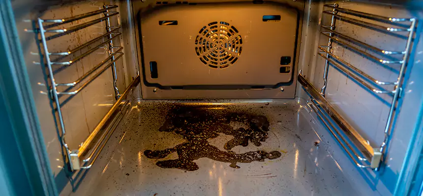 Our Air Purifier Installation Services in Hazel Park, MI