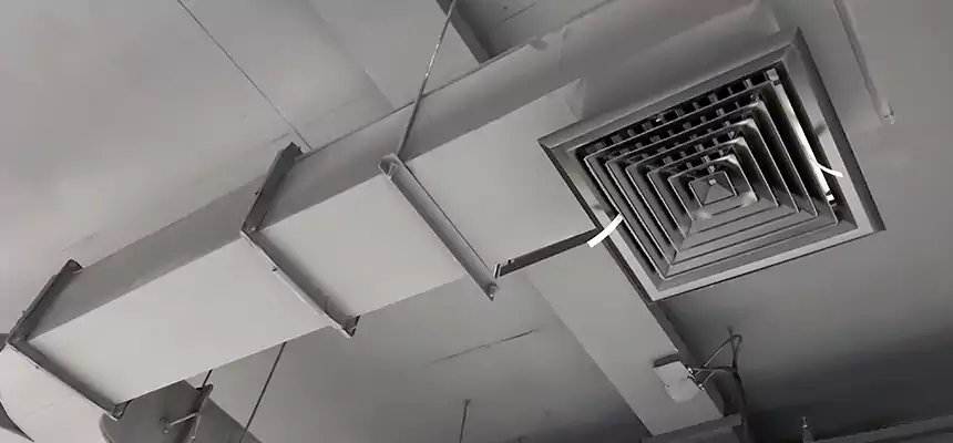 Restorative Allergy Relief Vent Cleaning – Coil, Blower & Housing Detail in Hazel Park