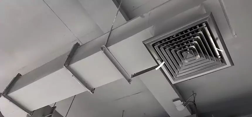 Our Pest Removal From Ducts Services in Hazel Park, MI