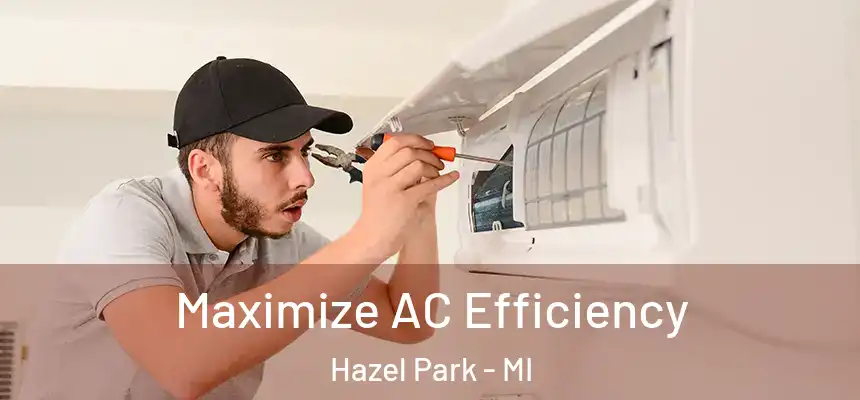  Maximize AC Efficiency Hazel Park - MI