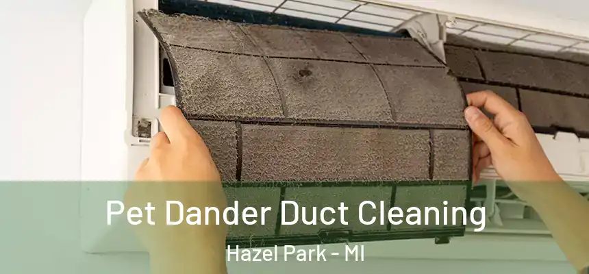 Pet Dander Duct Cleaning Hazel Park - MI