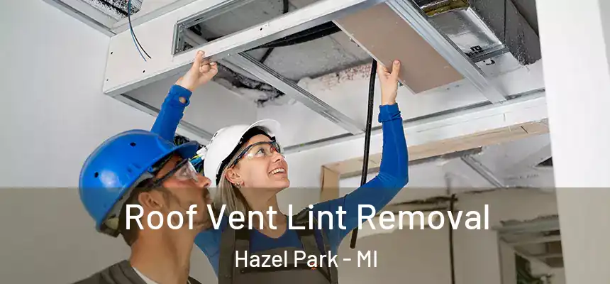  Roof Vent Lint Removal Hazel Park - MI