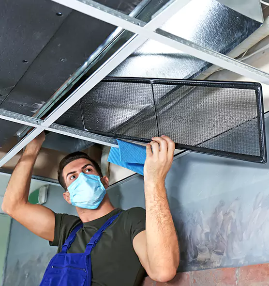 About Air Duct Bacteria Removal in Hazel Park