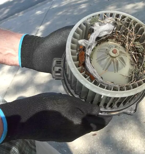 About Air Duct Mice Removal in Hazel Park, MI