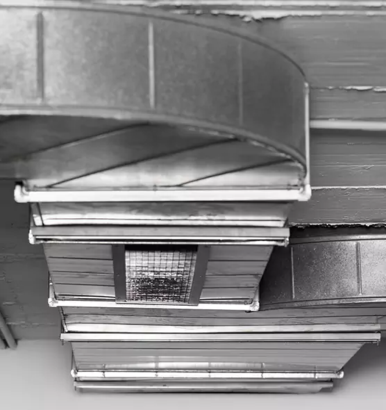 Professional Air Duct Pet Hair Removal in Hazel Park, MI