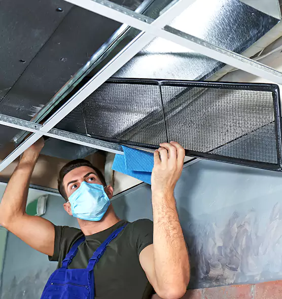 Professional Air Duct Pollen Cleaning in Hazel Park, MI