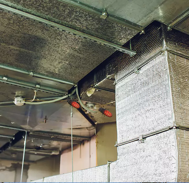 Why Homeowners & Businesses Trust Us Hazel Park, MI?